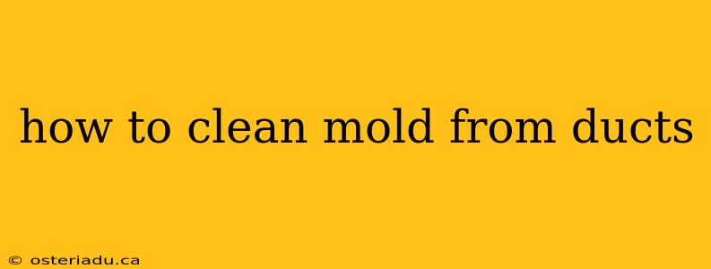 how to clean mold from ducts