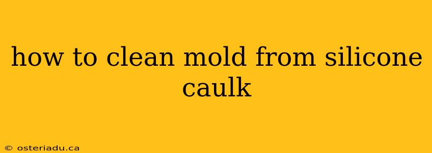 how to clean mold from silicone caulk