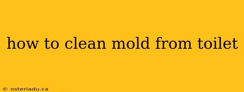 how to clean mold from toilet