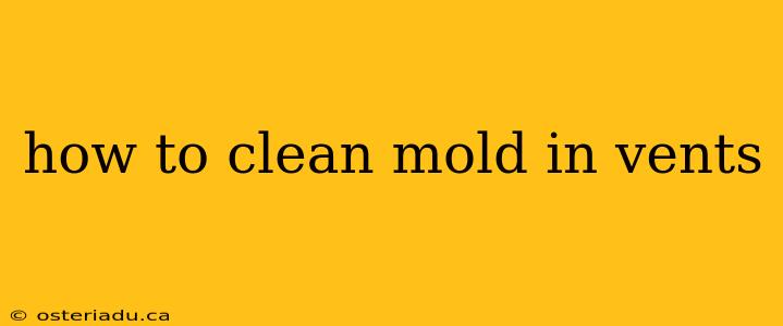 how to clean mold in vents