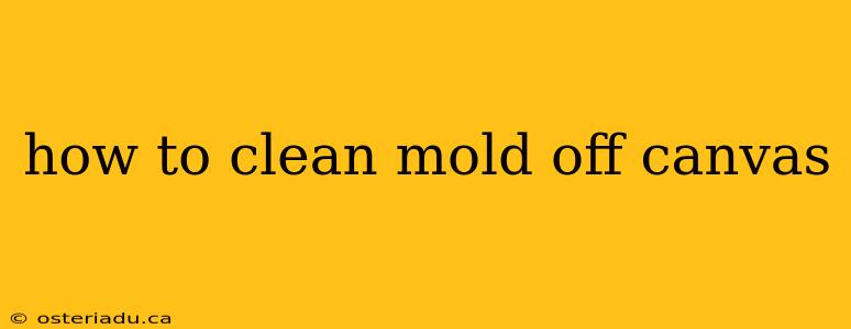 how to clean mold off canvas