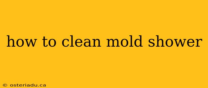 how to clean mold shower