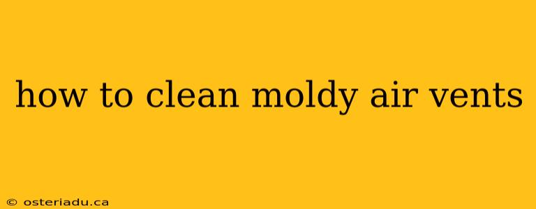 how to clean moldy air vents