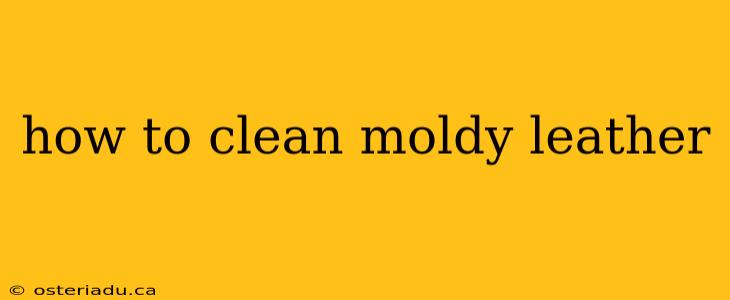 how to clean moldy leather