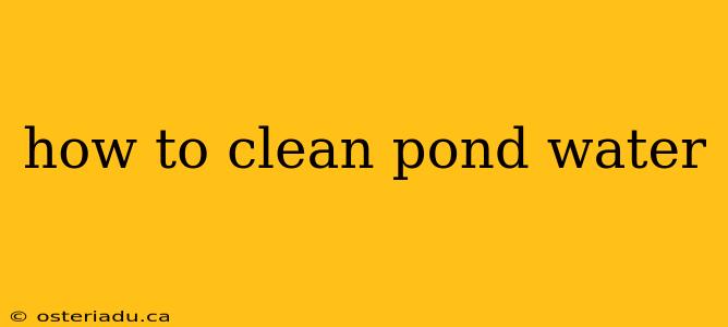 how to clean pond water