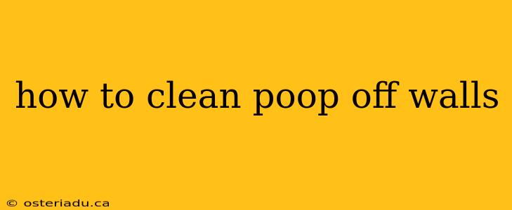 how to clean poop off walls