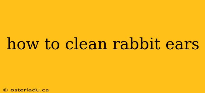 how to clean rabbit ears