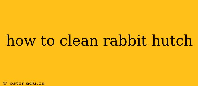 how to clean rabbit hutch