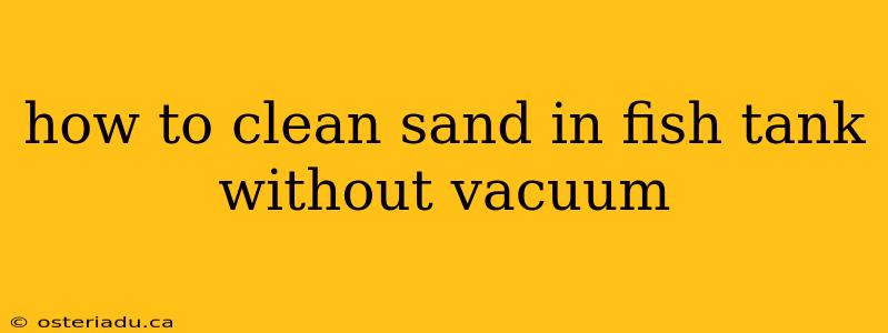 how to clean sand in fish tank without vacuum