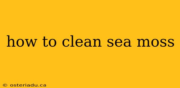 how to clean sea moss