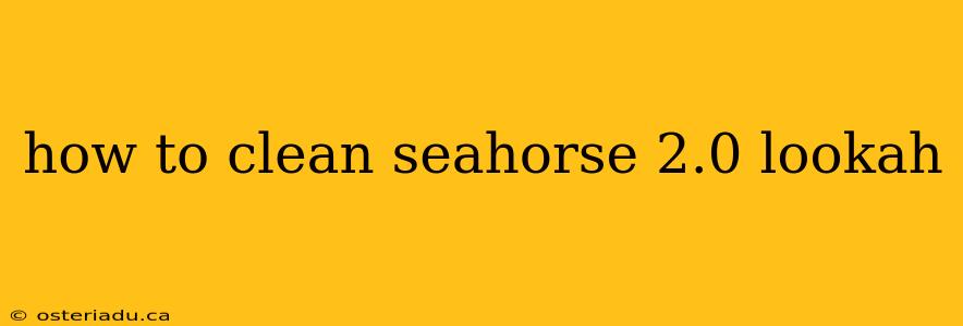 how to clean seahorse 2.0 lookah