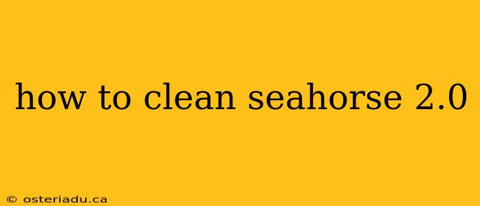 how to clean seahorse 2.0