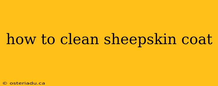 how to clean sheepskin coat