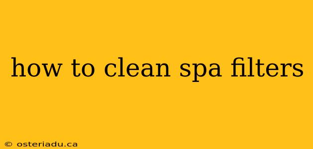 how to clean spa filters