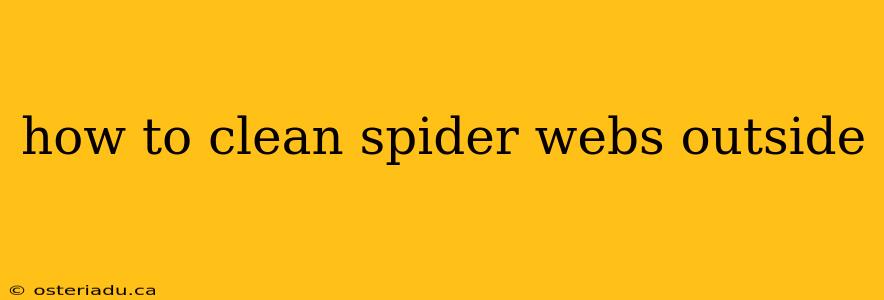 how to clean spider webs outside