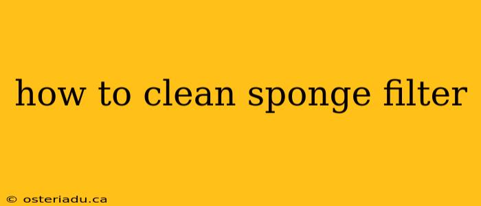 how to clean sponge filter