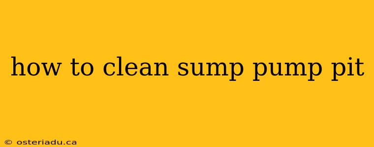 how to clean sump pump pit