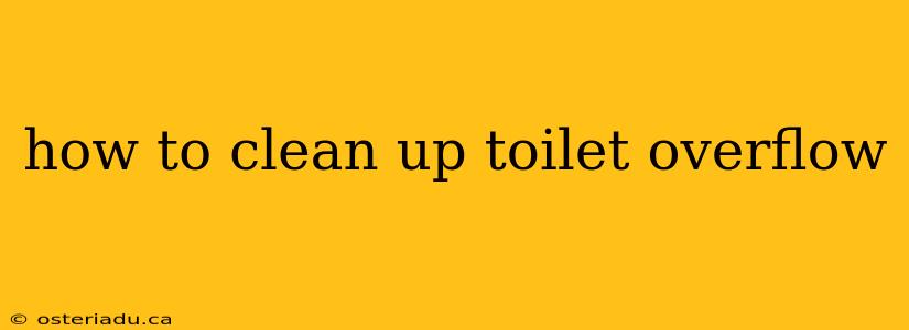 how to clean up toilet overflow