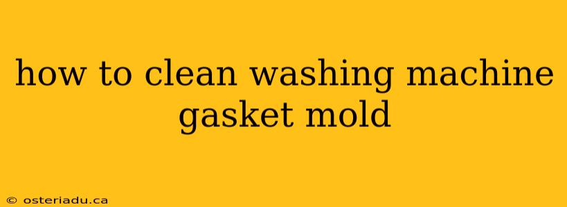 how to clean washing machine gasket mold