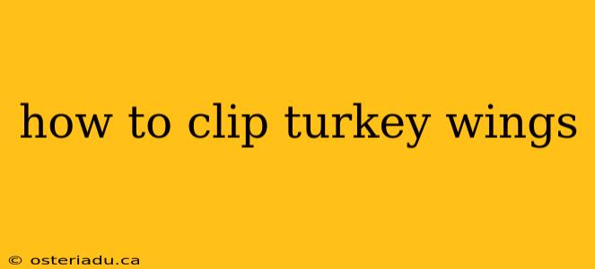 how to clip turkey wings