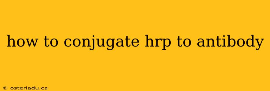 how to conjugate hrp to antibody