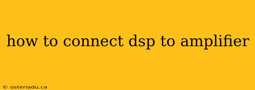 how to connect dsp to amplifier