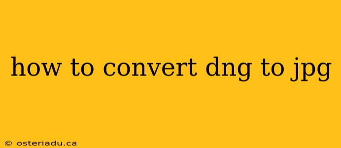 how to convert dng to jpg