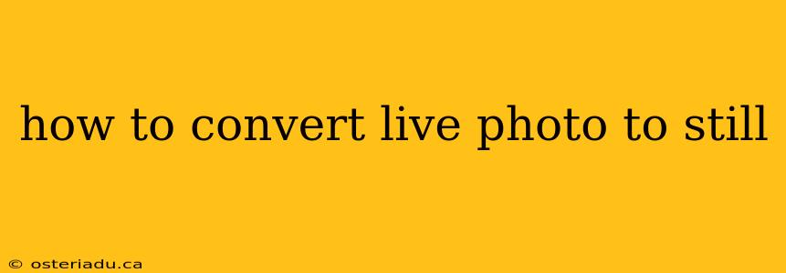 how to convert live photo to still