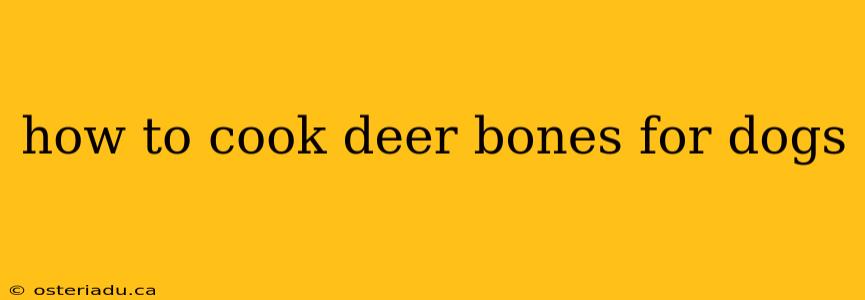 how to cook deer bones for dogs