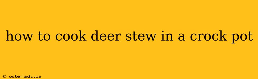 how to cook deer stew in a crock pot