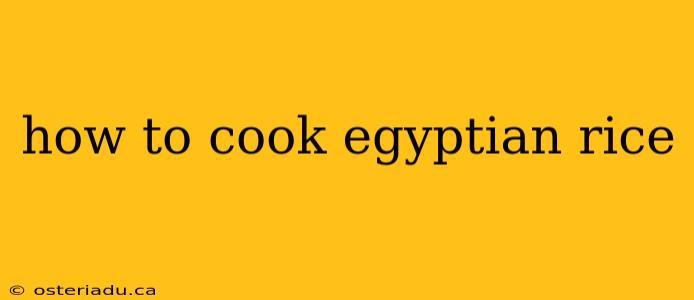 how to cook egyptian rice