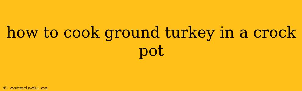 how to cook ground turkey in a crock pot