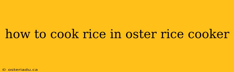 how to cook rice in oster rice cooker