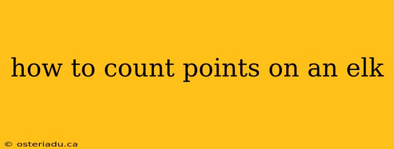 how to count points on an elk