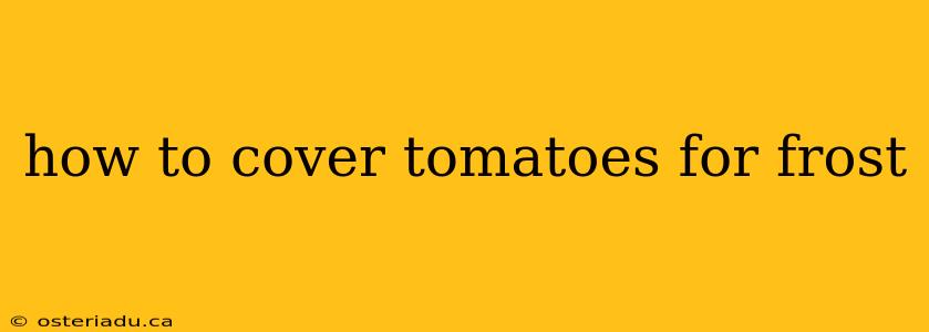 how to cover tomatoes for frost