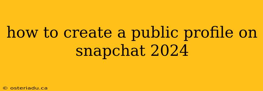 how to create a public profile on snapchat 2024