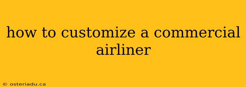 how to customize a commercial airliner