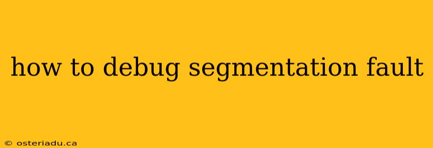 how to debug segmentation fault