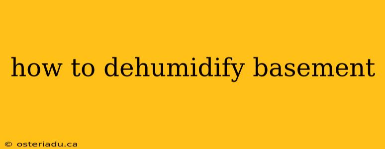 how to dehumidify basement