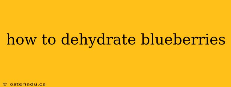 how to dehydrate blueberries