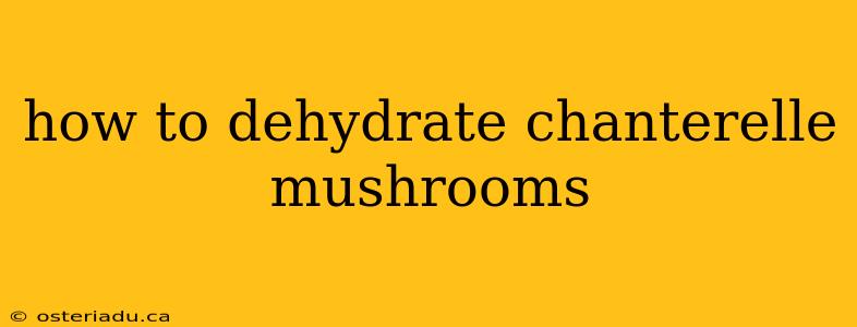 how to dehydrate chanterelle mushrooms