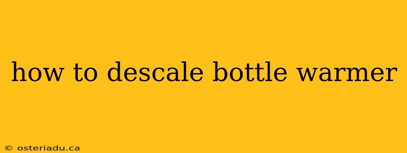 how to descale bottle warmer