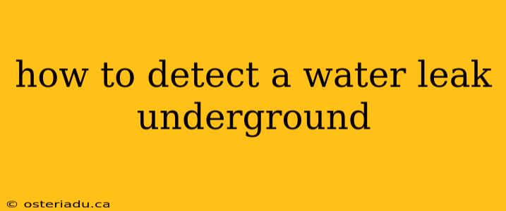 how to detect a water leak underground