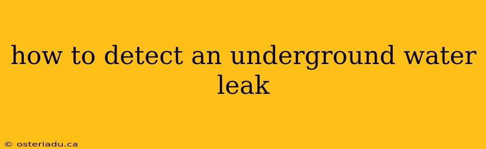 how to detect an underground water leak