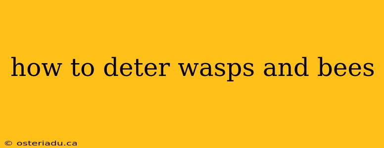 how to deter wasps and bees