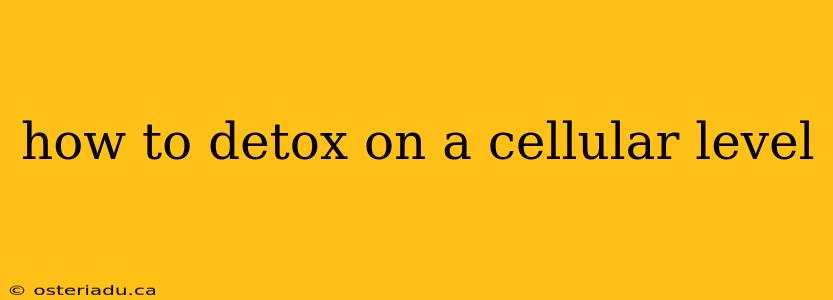 how to detox on a cellular level