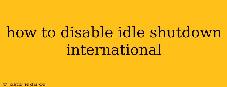 how to disable idle shutdown international