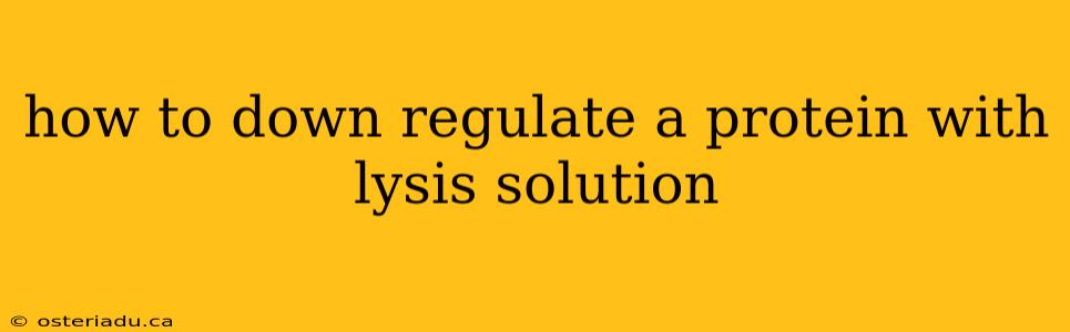 how to down regulate a protein with lysis solution