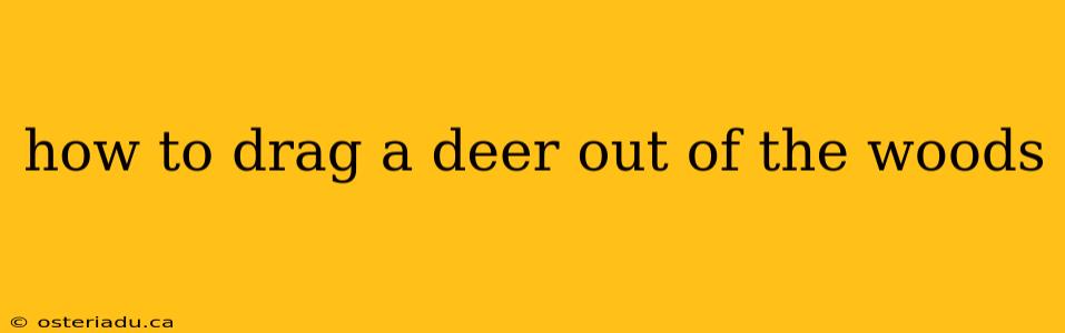 how to drag a deer out of the woods