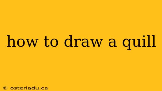 how to draw a quill